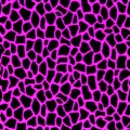 Midnight Safari Fluorescent