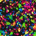 Splatter Paint Fluorescent