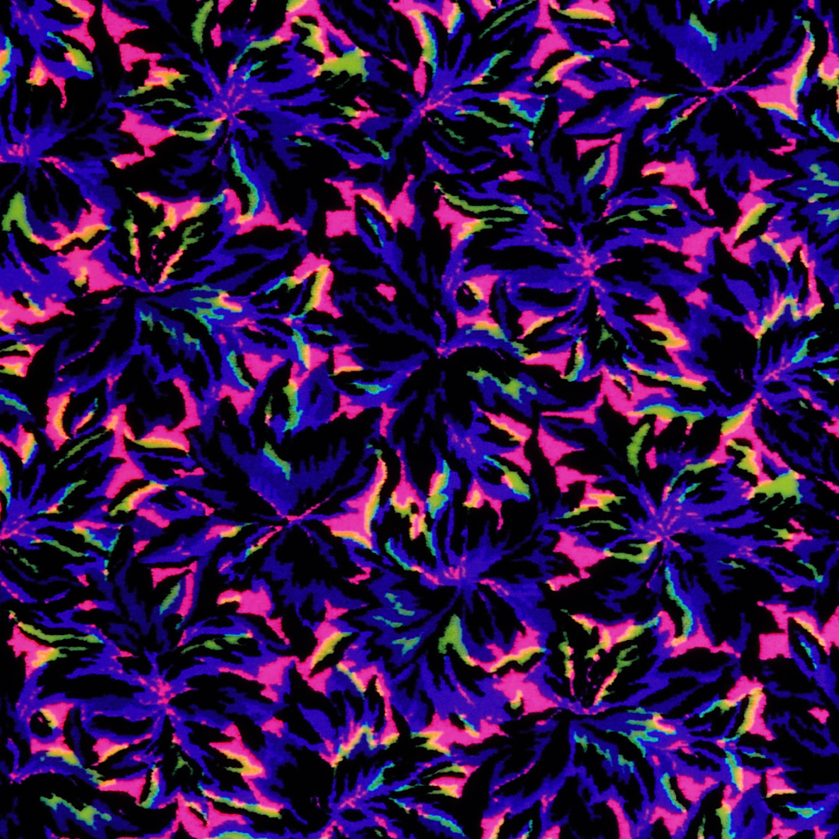 Flaming Floral Fluorescent