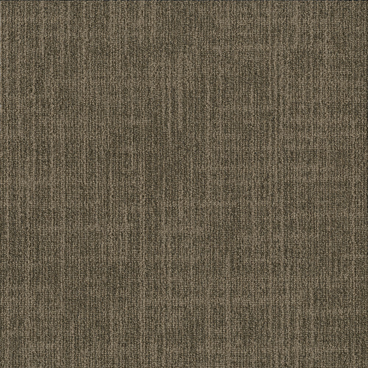 Outer Banks Carpet Tile